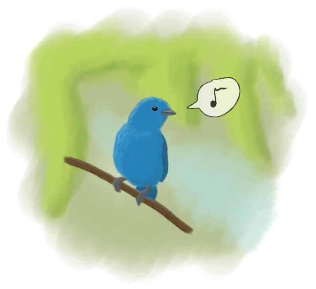 Twittervogel